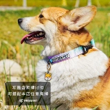 Пятнадцатая законодательство о домашних животных Petting Petting Petting Petting Petting Law