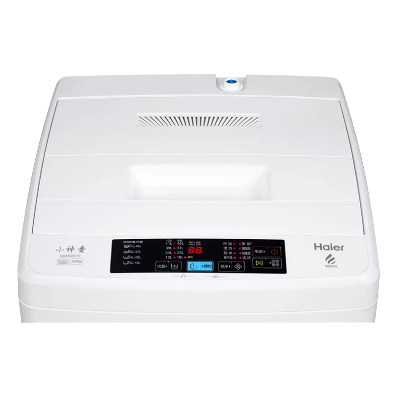 海尔洗衣机6.5 kg公斤迷你小型波轮 haier海尔时利和洗衣机