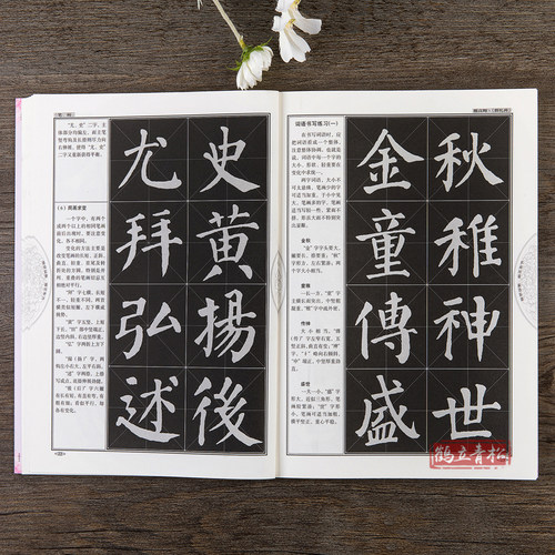 颜真卿楷书教程 颜勤礼碑学生成人书法毛笔入门教程字帖培训教材 - 图2