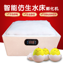 Water Bed Incubators Homemade Household Small Chicken Duck Goose Dove Parrot Quail Egg Fully Automatic Temperature Control Incubation Case Machine