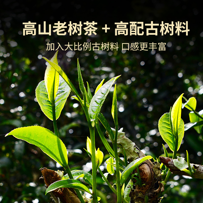 澜沧古茶2023年0081小砖云南普洱熟茶口粮茶砖茶叶100g-图0