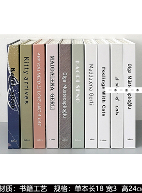 售楼处儿童玩耍区柜整套软装摆件