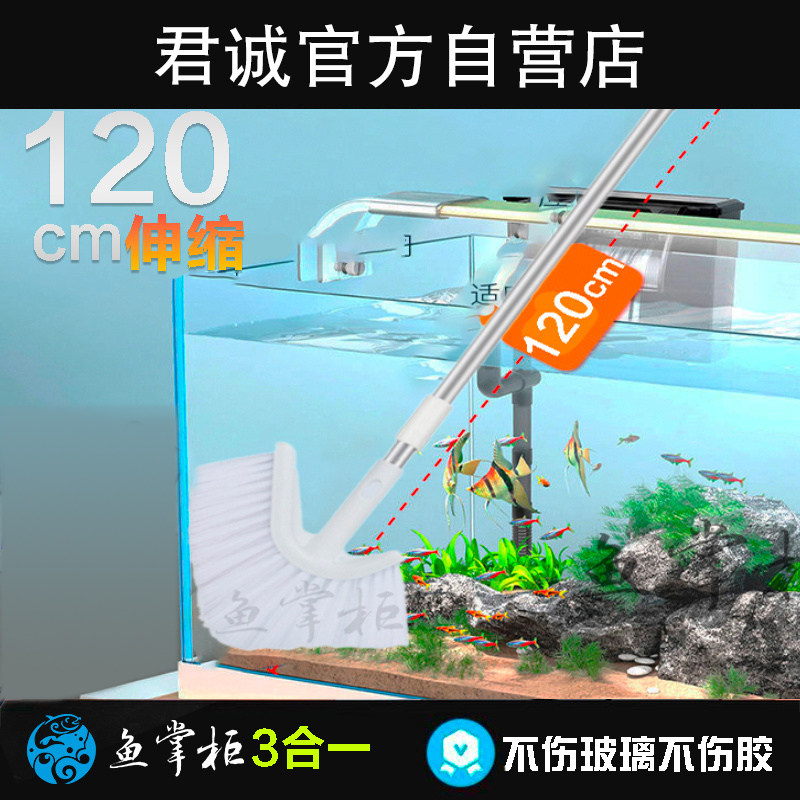 图 2