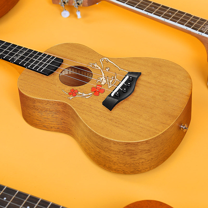 andrew安德鲁23寸初学者女小吉他 andrew安德鲁尤克里里/小吉他