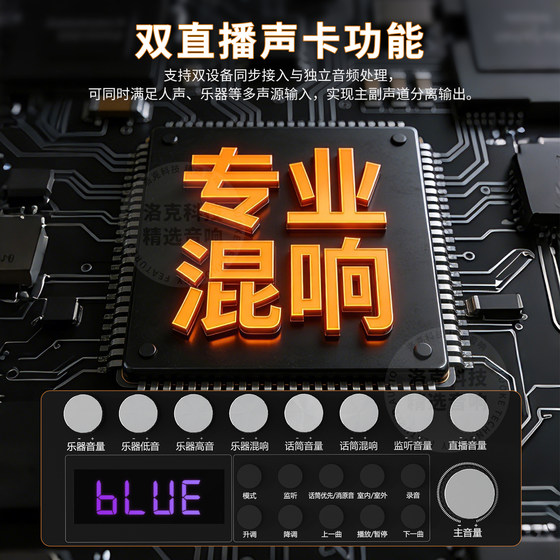 300W蓝牙音响无线高音质乐器音箱户外唱k歌带麦克风家庭ktv低音炮