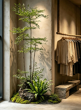 室内玄关橱窗楼梯下软装造景