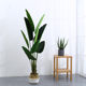 Tropical Ficus Traveler Floor-standing Ornament Simulated Plant