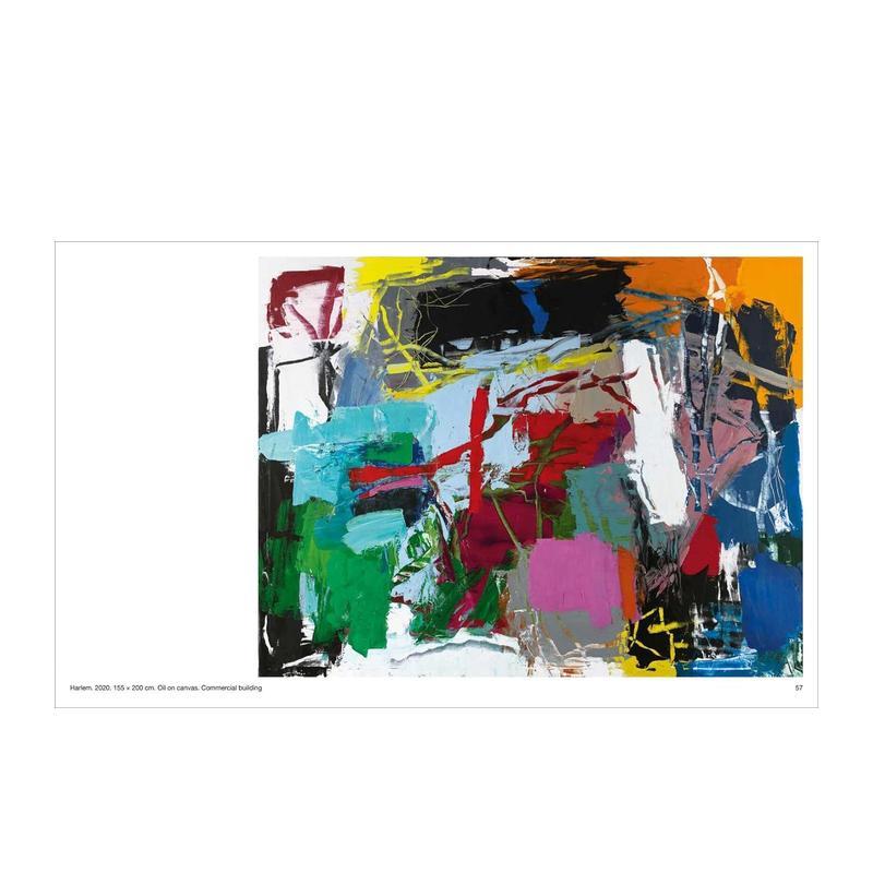 【预售】安妮特·温德尔：色彩是我的音乐（比利时版本）英文外国美术20世纪进口原版外版书精装Annette Werndl: Color is My Mu书 - 图3