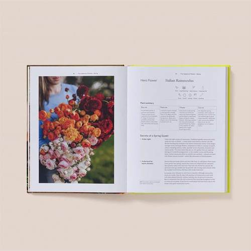 【现货】花卉农场的秘密Secrets From The Flower Farm英文生活综合Rebecca Starling 精装Thames & Hudson Australia进口原版书9 - 图2