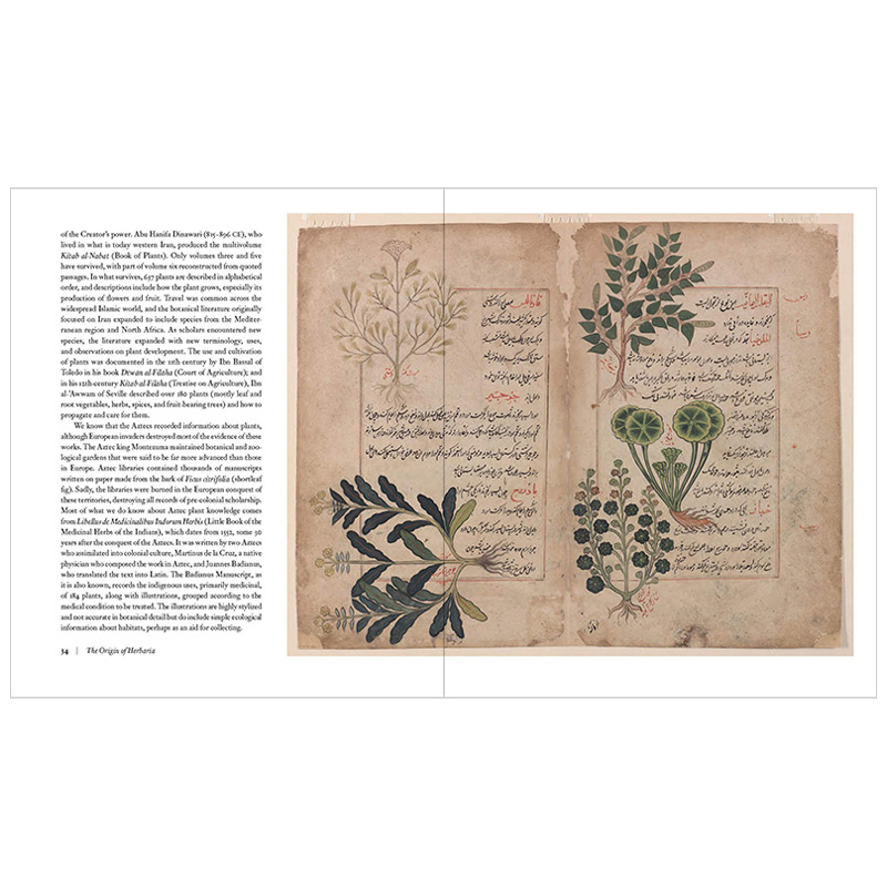 【预售】Herbarium: The Quest to Preserve and Classify the World’s Plants植物标本室:对世界植物的保存和分类的探索英文 - 图3