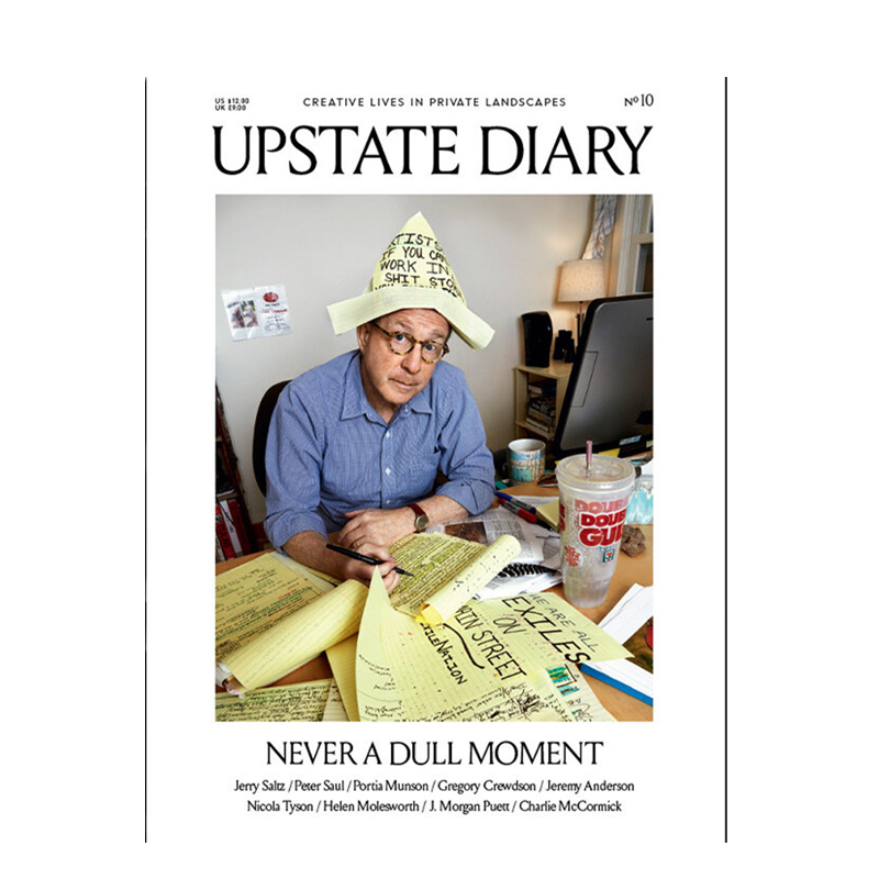 杰里·萨尔茨Jerry Saltz UPSTATE DIARY 2020年01期 N0.10 - 图0