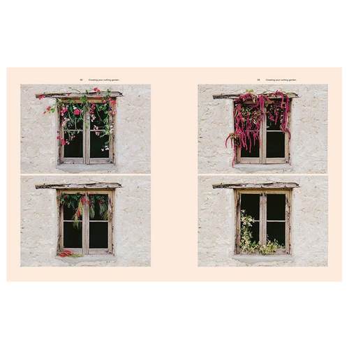 【现货】花卉农场的秘密Secrets From The Flower Farm英文生活综合Rebecca Starling 精装Thames & Hudson Australia进口原版书9 - 图3