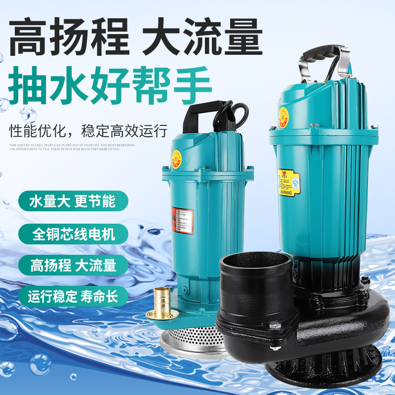 潜水泵220V水泵家用抽水泵高扬程农用灌溉抽粪泥浆污水泵排污泵 - 图1