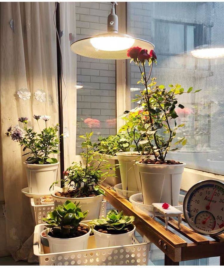 全光谱LED仿太阳蔬菜草莓花卉育苗室内多肉植物生长灯植物补光灯,淘宝优惠券,粉丝福利购,淘宝优惠卷
