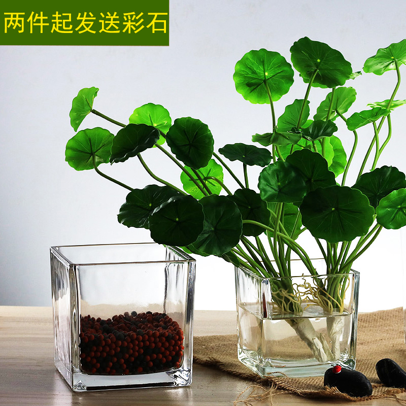 简约加厚正方形缸大号花瓶玻璃透明桌面摆件水培容器水养植物花盆