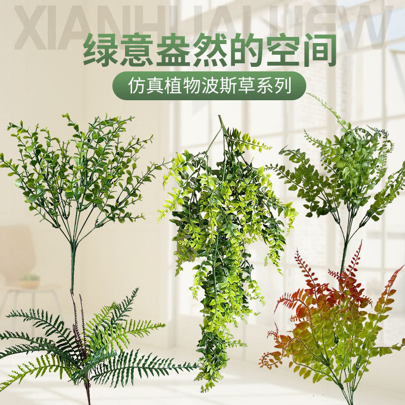 仿真蕨草波斯草把束假植物蕨类壁挂波斯草植物墙排草插花叶子装饰_虎窝淘