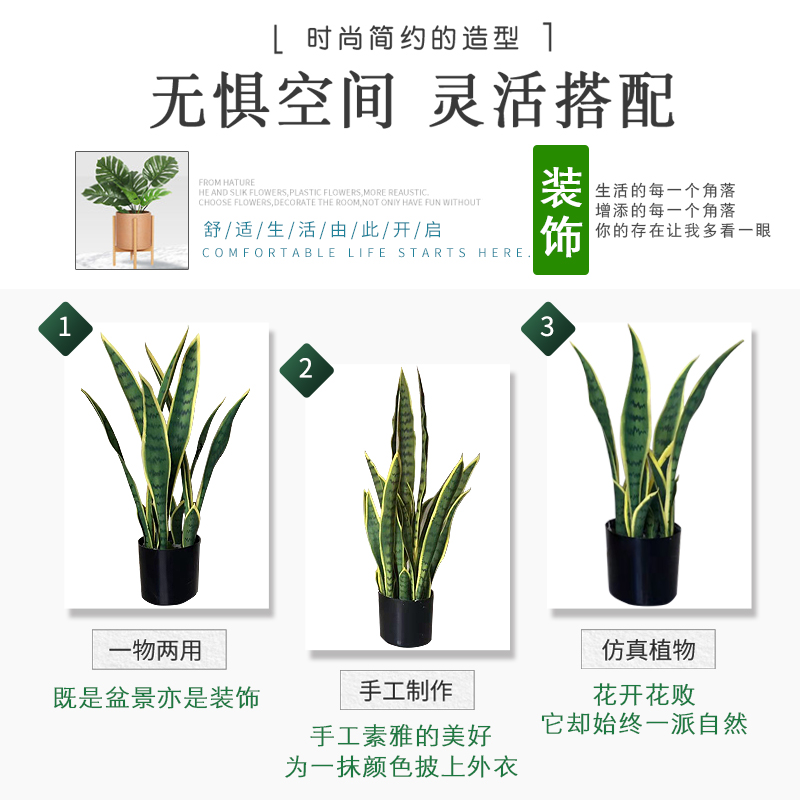 仿真植物 外母舌 虎皮兰 热带沙漠绿植 盆景植物 绿植 装饰 盆栽 - 图1