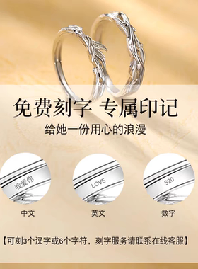 蓝桉与鸟情侣一对戒指小众设计男女款高级感刻字纪念礼物送女友