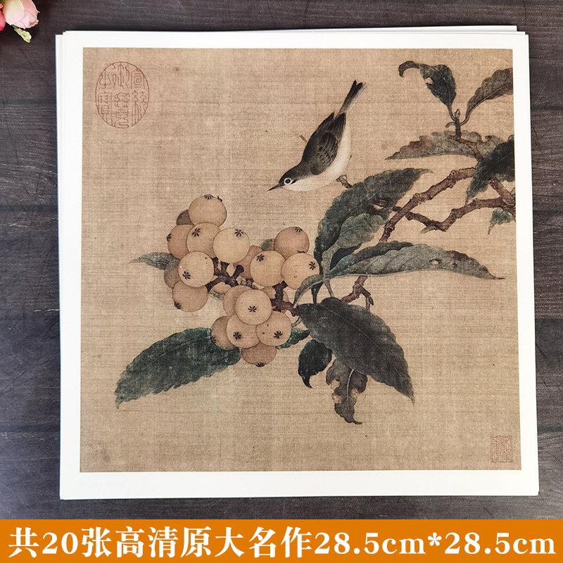 现货包邮宋代花鸟小品一名作经典20幅宋人花鸟小品高清原作李晓明工笔画底稿工笔花鸟画教程设色技法画法步骤放大版白描线描底稿-图1