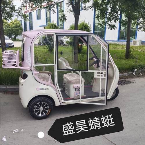 电动三轮车加装车门透明门一体篷车专用车门透明门雅迪爱玛盛昊门 - 图1