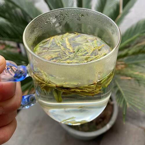 龙井2026新茶杭州龙井茶雨前龙井绿茶高山老茶树500g茶叶豆香浓郁 - 图3