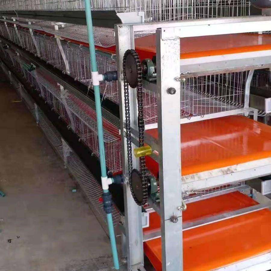 肉鸡元宝笼全自动清粪捡蛋加粗加厚镀锌丝畜牧养殖设备养鸡笼,淘宝优惠券,粉丝福利购,淘宝优惠卷