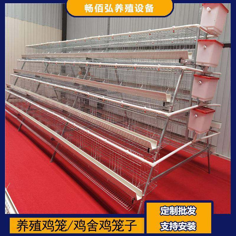 4层5门阶梯蛋鸡笼养殖工厂阶梯型A型鸡笼鸡窝热镀锌可供外贸,淘宝优惠券,粉丝福利购,淘宝优惠卷