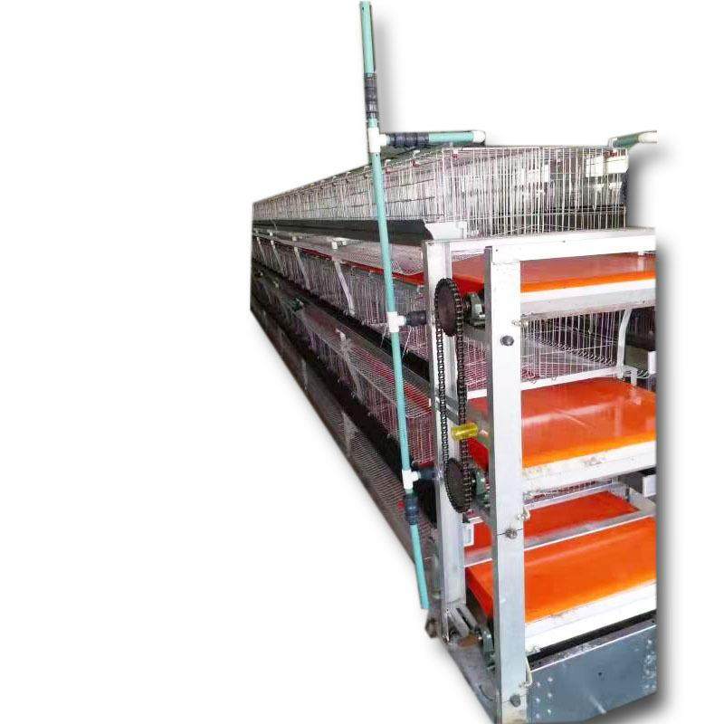 肉鸡元宝笼全自动清粪捡蛋加粗加厚镀锌丝畜牧养殖设备养鸡笼,淘宝优惠券,粉丝福利购,淘宝优惠卷