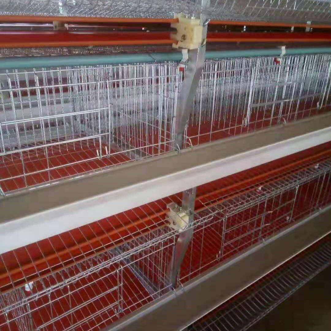 肉鸡元宝笼全自动清粪捡蛋加粗加厚镀锌丝畜牧养殖设备养鸡笼,淘宝优惠券,粉丝福利购,淘宝优惠卷