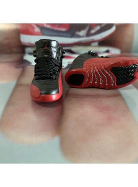 AJ12/13代熊猫篮球模型