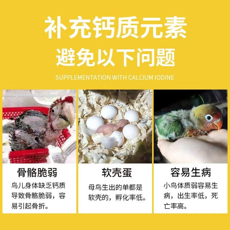 墨鱼骨补钙串磨牙鹦鹉解闷虎皮玄凤牡丹鸟食乌龟零食啃咬玩具包邮,淘宝优惠券,粉丝福利购,淘宝优惠卷