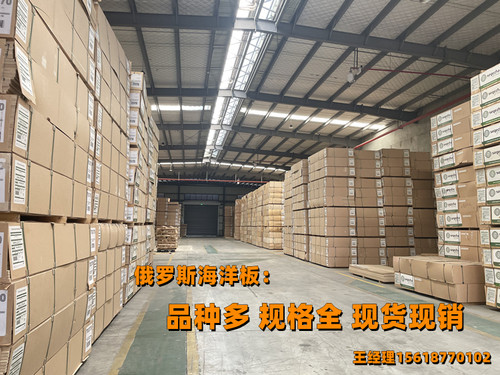 俄罗斯进口 桦木防水多层板 船舶海洋板攀岩 耐水橱柜 胶合板E0级 - 图2