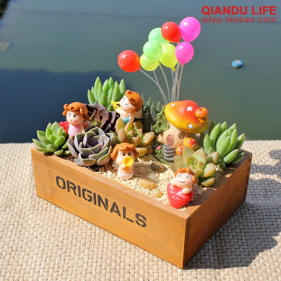 精选多肉植物室内多肉组合盆栽易养绿植花卉阳台盆景桌面肉肉植物,淘宝优惠券,粉丝福利购,淘宝优惠卷