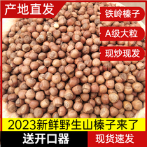 2023 Northeast special production of original new wild hazelnut opening hazelnut hand slapping water drain hazelnut