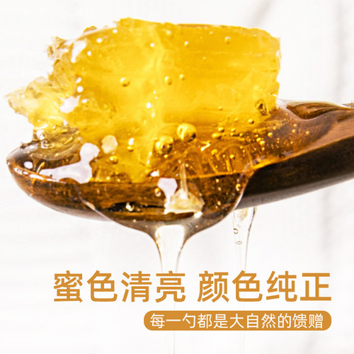 山东临沂沂蒙山特产 蒙阴优蒙蜂巢蜜蜂蜜百花蜜500g*2盒礼盒装 - 图0