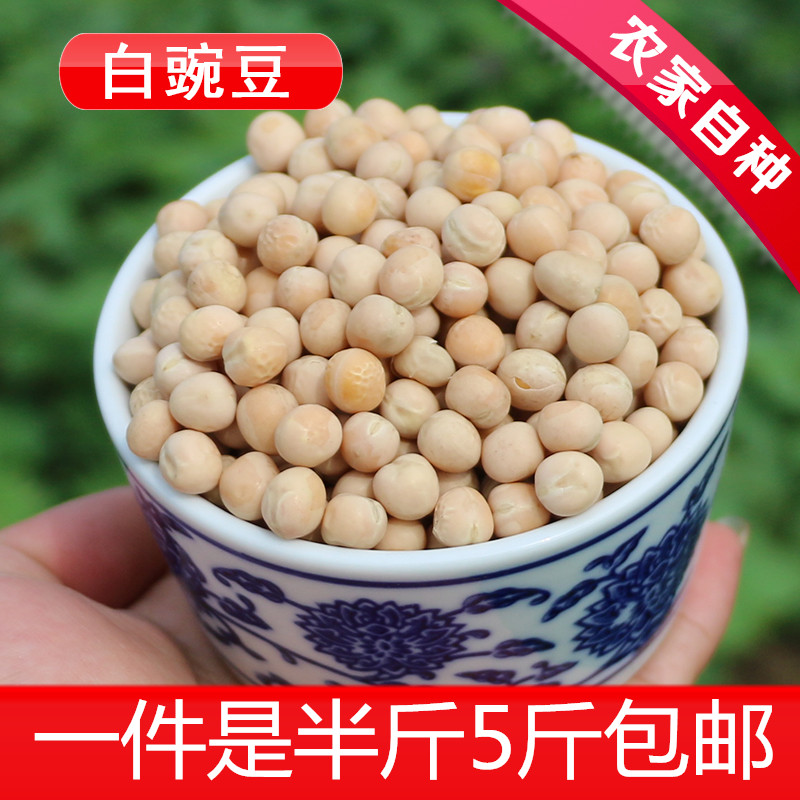 农家自种 白豌豆250g寒豆麦豆重庆小面原料 苗芽菜种子 - 图0