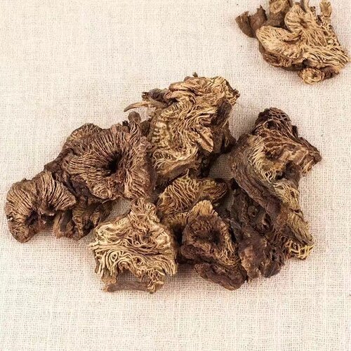 精选野生中药材升麻500g包邮周升麻鸡骨升麻干片鬼脸升麻可升麻汤 - 图2