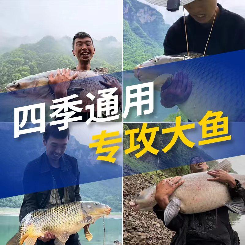 【二毛同款】二毛荒野老玉米野钓打窝挂钩窝料饵料鲤草青鳊鱼饵颗,淘宝优惠券,粉丝福利购,淘宝优惠卷