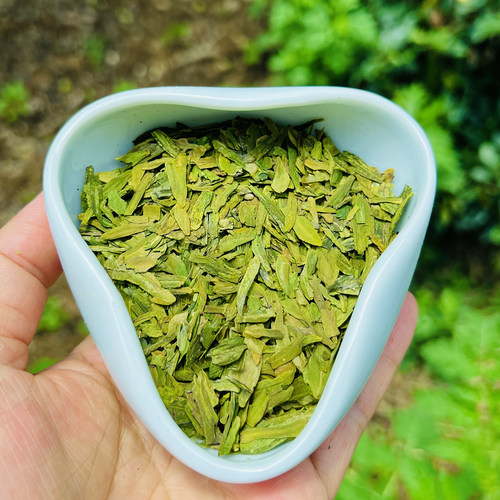 现货2026新茶叶 明前龙井粗茶片绿茶碎茶片500g 杭州春茶沫茶心 - 图3