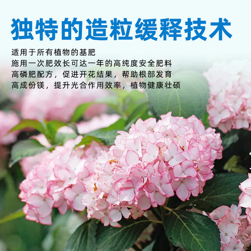 日本魔精复合肥料魔肥盆栽洋兰绣球月季铁线莲盆景花宝花肥 - 图2