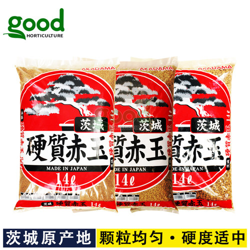 二本赤玉土鹿沼土日向石兰花土桐生砂多肉专用营养土花泥土铺面石 - 图1