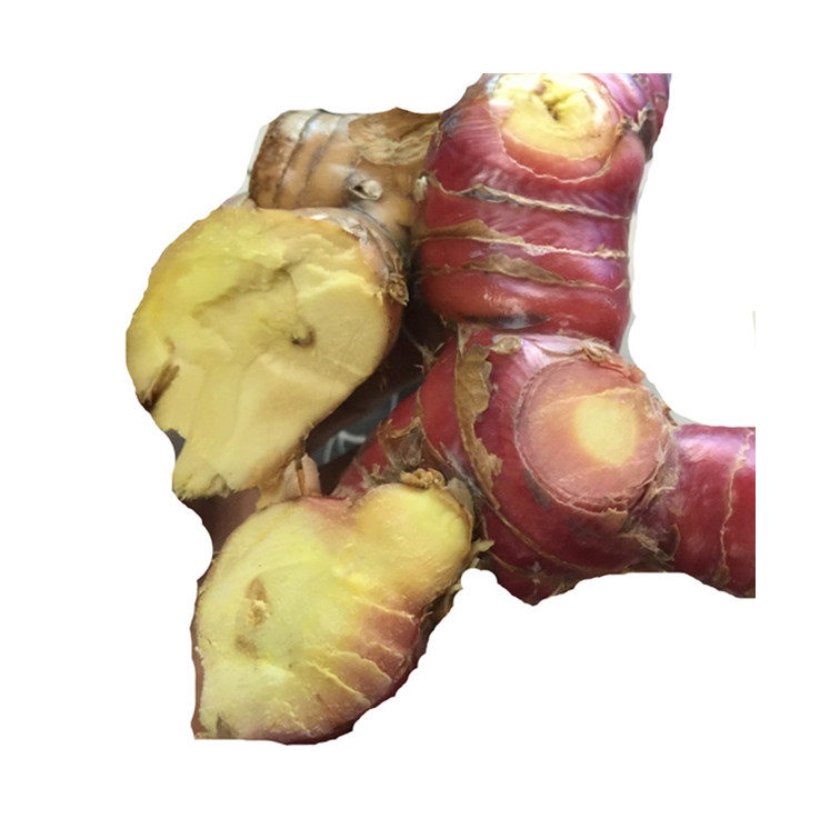 新鲜南姜 潮汕南姜 包邮潮州野生山姜 生姜5斤27.5山姜头蓝姜食用,淘宝优惠券,粉丝福利购,淘宝优惠卷