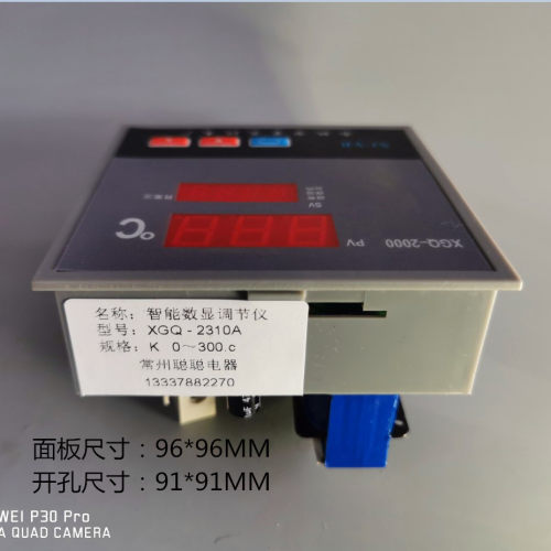 温度控制器 XGQ-2310A K 0～300.C余姚市星辰仪表厂 远东仪器 - 图0