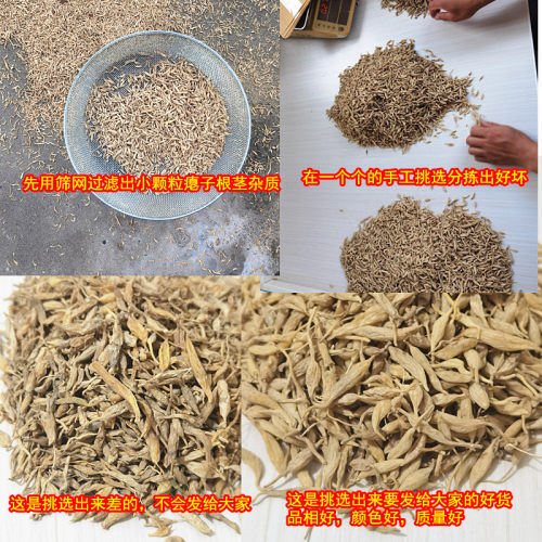 神农架麦冬野生正品非川麦冬茶可配玉竹泡水无硫药材麦冬干货500g - 图1