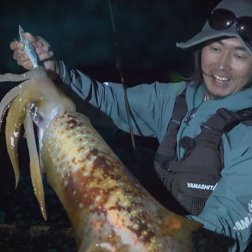 日本YAMASHITA木虾鱿鱼钩进口EGI-OH紫外线夜光闪电虾饵木鱿鱼钩 - 图2