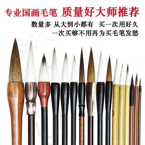 专业级国画毛笔套装山水画写意花鸟工笔画初学者专用狼毫白云斗笔 - 图1