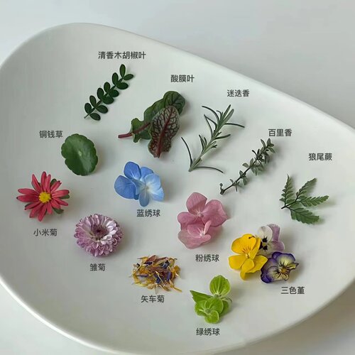 新鲜摆盘装饰花草 可食用三色堇迷迭香薄荷叶芽头千叶吊兰食用花 - 图3