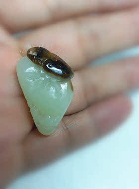 和田玉俏色带证书吊坠