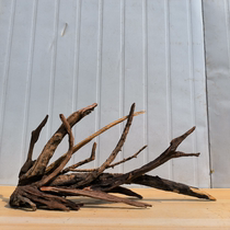 South American cylinder-made view South American cylinder Sunken Wood Construction Sunken South American Sink Wood View Fish Tank Building Fish Tank Slumwood Multiple Branches