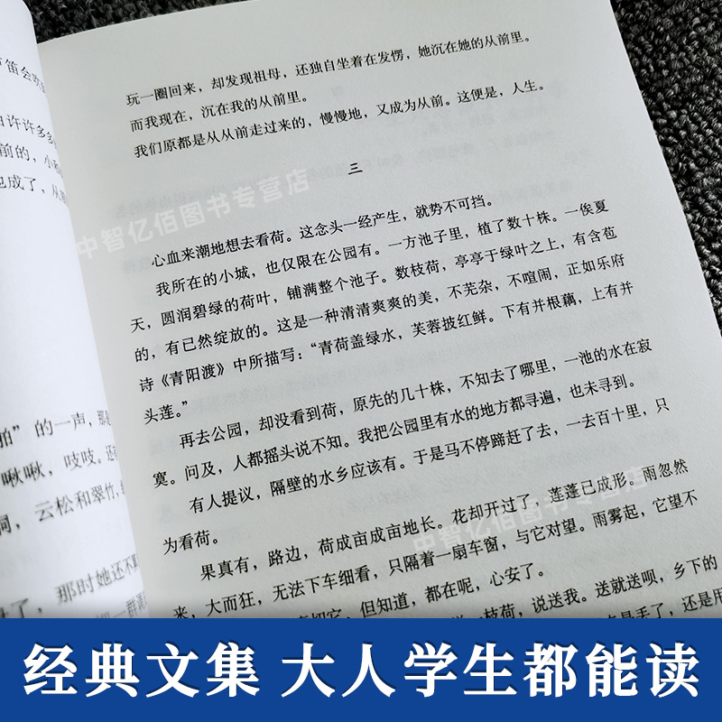 丁立梅的书散文作品集全套花开在野暗香暖爱遇见+风会记得一朵花香向着美好奔跑等等待绽放风景这边独好丁立梅十年散文集 - 图2